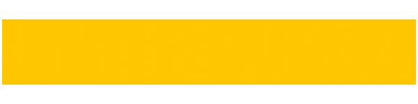 WhiteDwarf 600Wide LOGO
