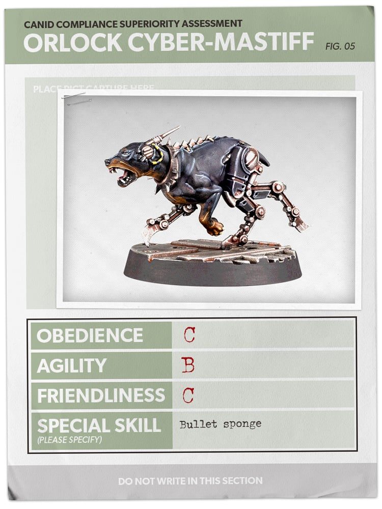 40k Chiens Jan31 Card5