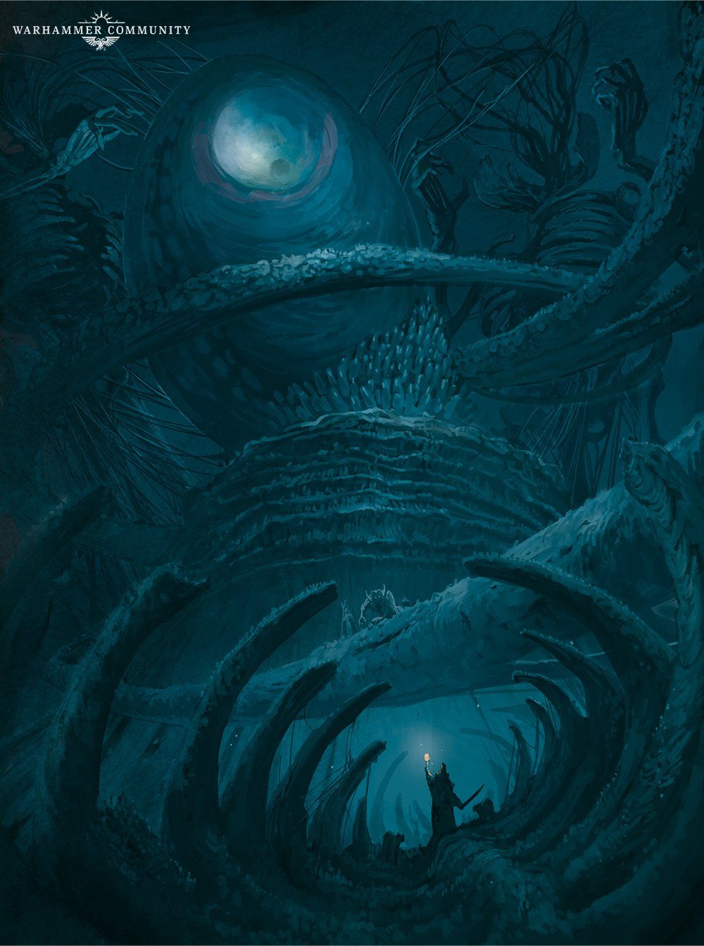 13 04 WHUCryptic3 Image1