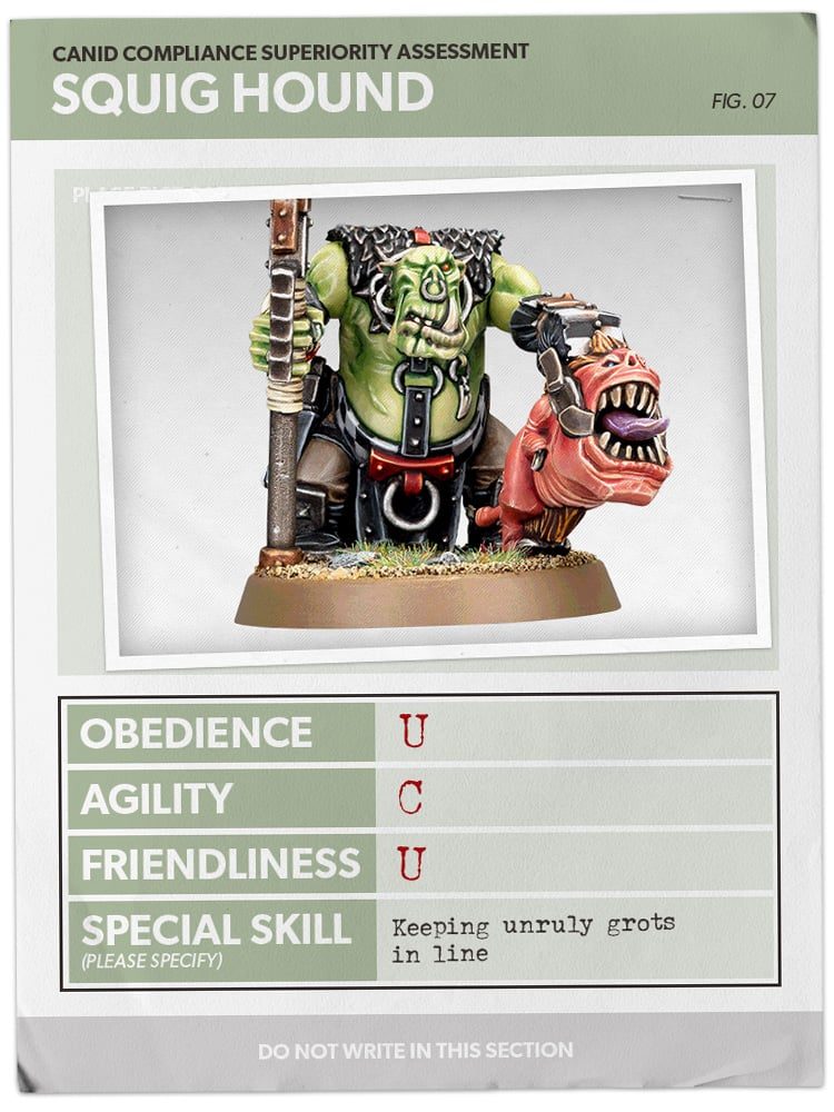 40k Chiens Jan31 Card7