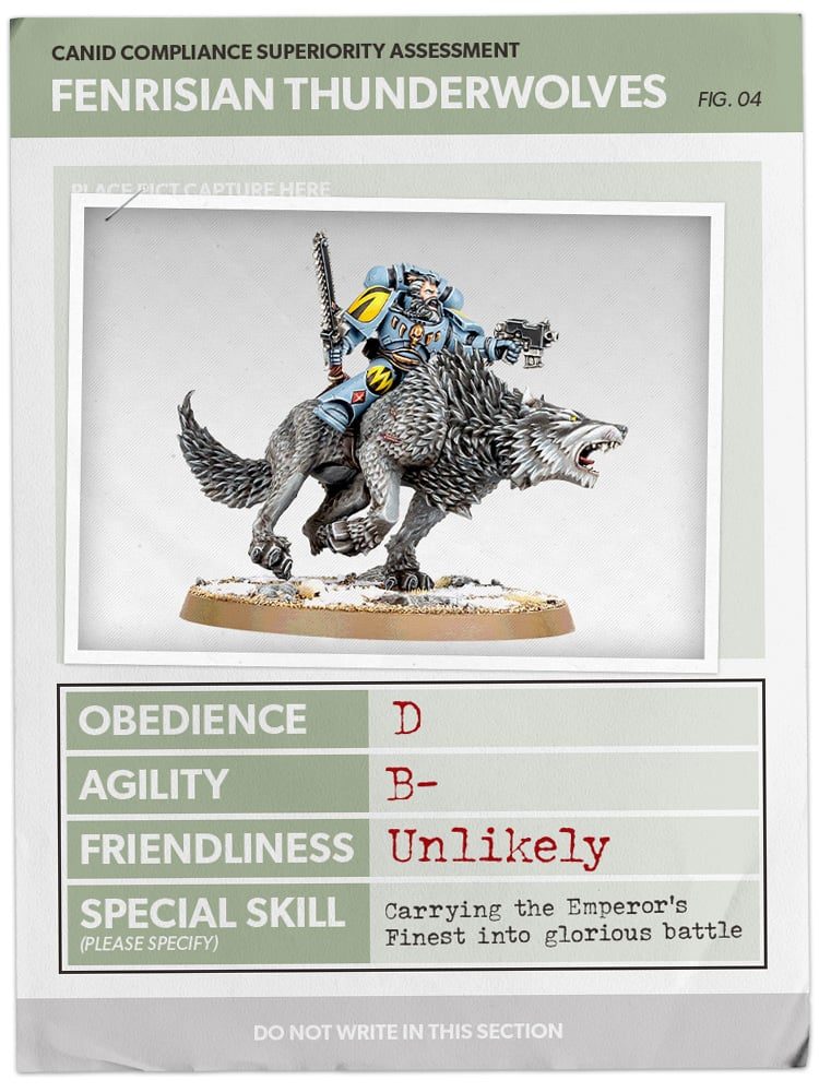 40k Chiens Jan31 Card4