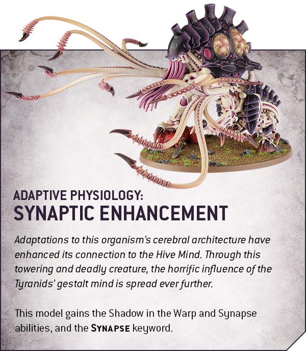 Adaptiove physiology: Synaptic enhancement