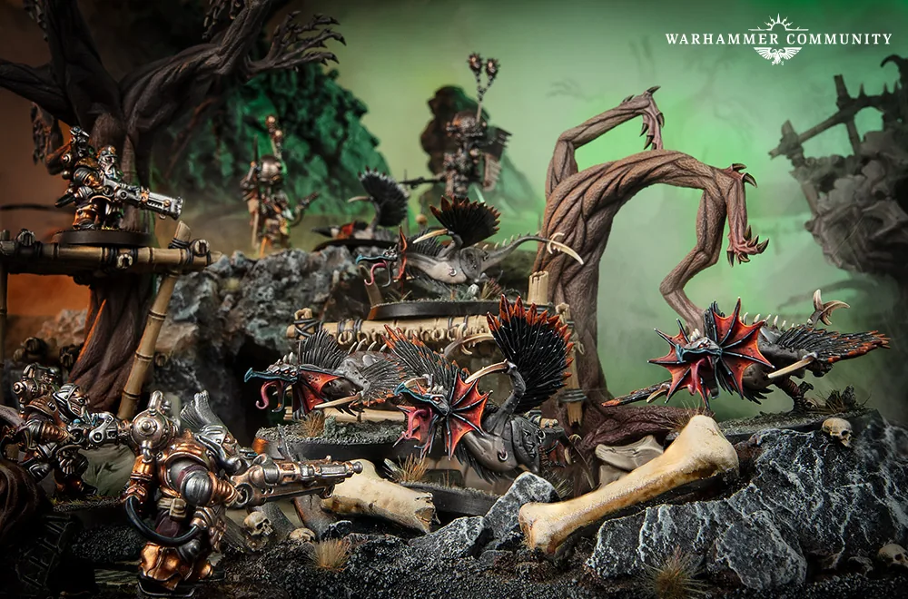 Terrain 2