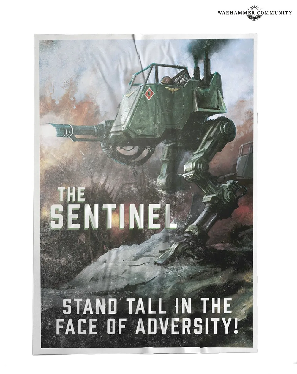 RSSentinels Jan17 Poster