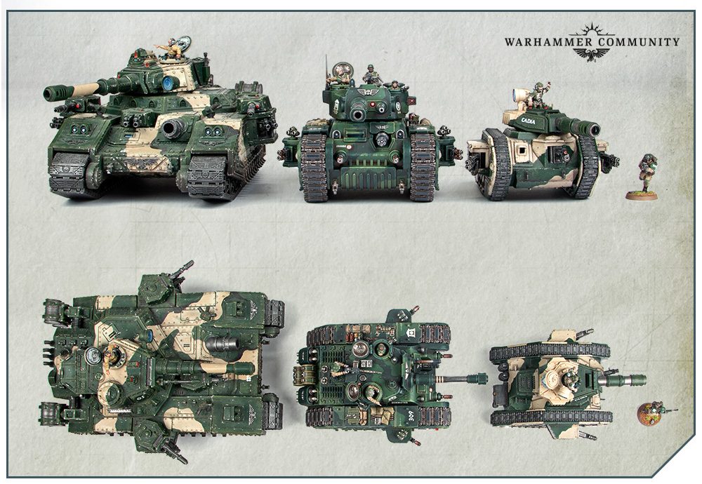 AMRogalDornComparison Nov02 SizeComparison