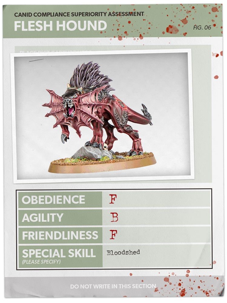 40k Chiens Jan31 Card6