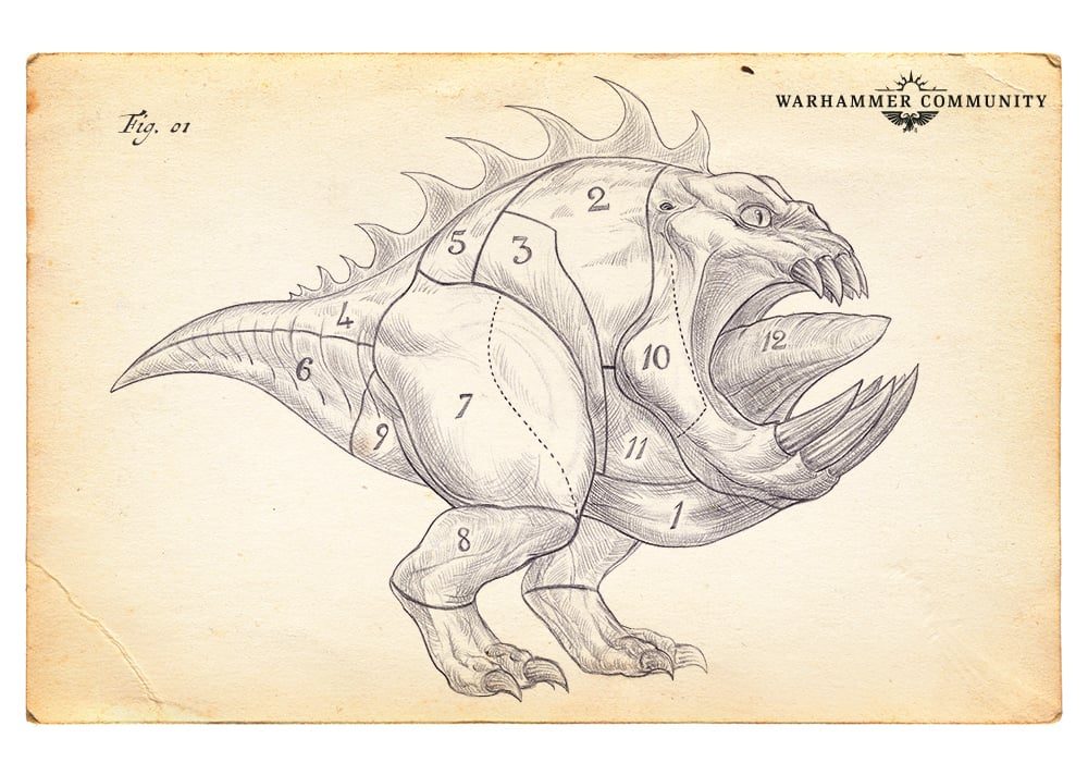 SquigLore Jan27 Intro