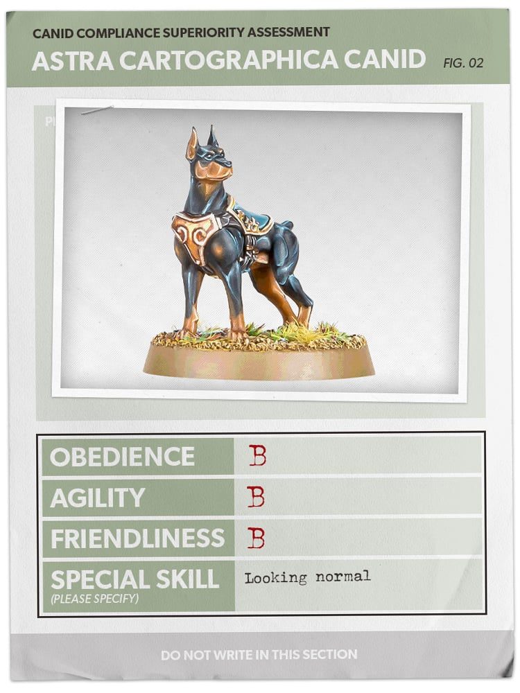 40k Chiens Jan31 Card2