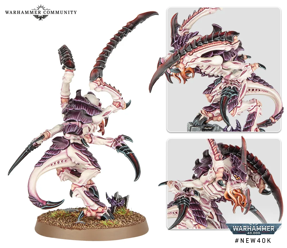40k Sauteurs Apr10 Détails