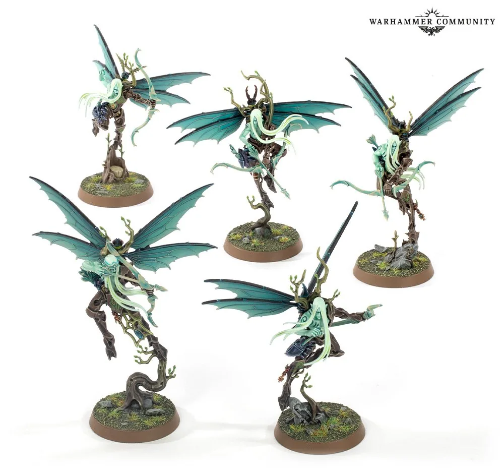 Archers gossamides
