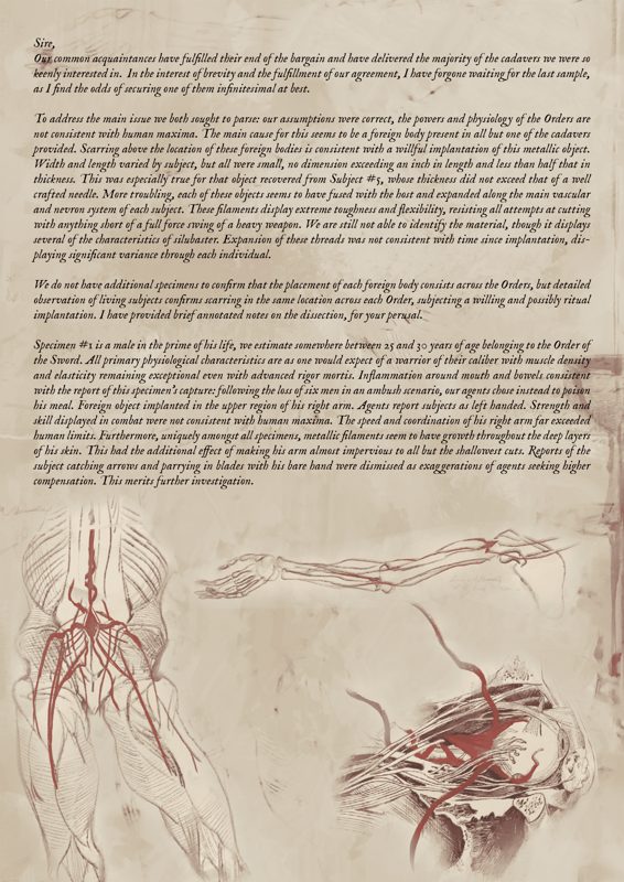 Visuel Para Bellum
